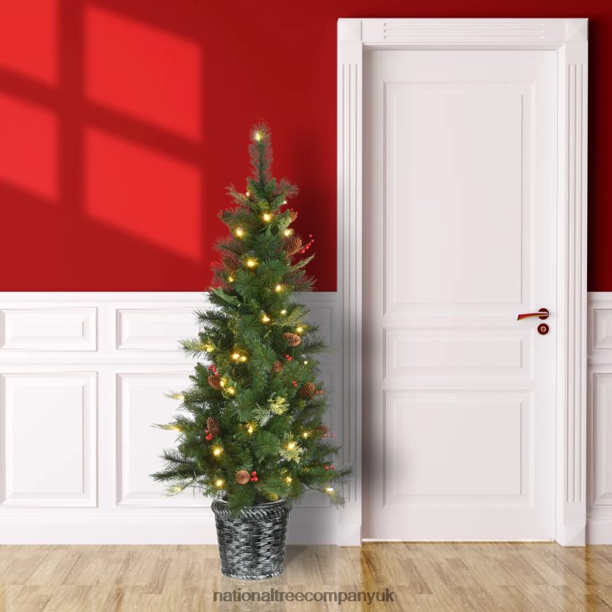 Trees | National Tree Company Pre-Lit Artificial Christmas Entrance Tree Buzzard Pine with Warm White LED Lights Plug in 5 ft F2L4F106